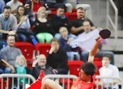 AYX体育赛事-波兰队翻盘法国队，张继科惊艳四座