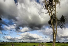 AYX官方直播-戴维斯杯轻取法网，西西帕斯带队取胜