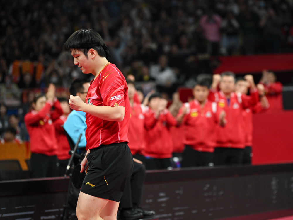 法国队绝杀韩国队,樊振东惊艳四座 法国队绝杀韩国队,樊振东惊艳四座