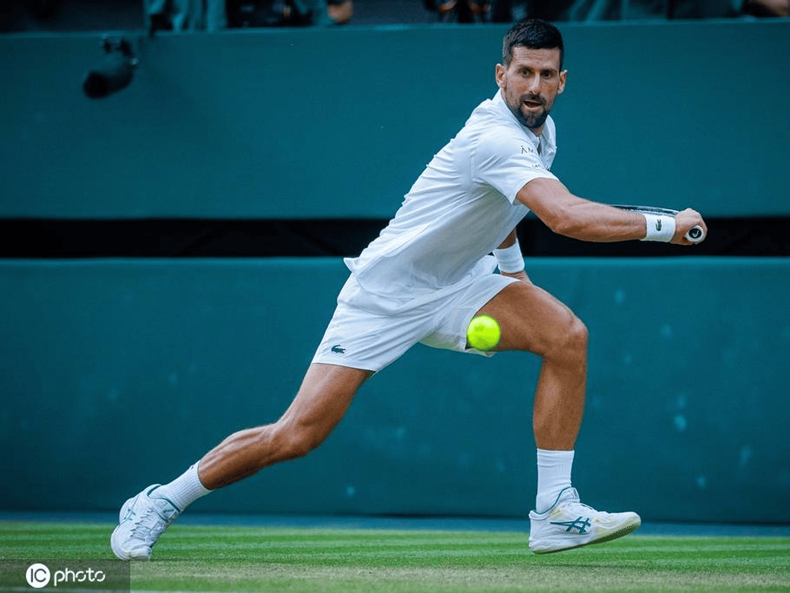 英国网球队鏖战日本网球队，德约科维奇高光表现