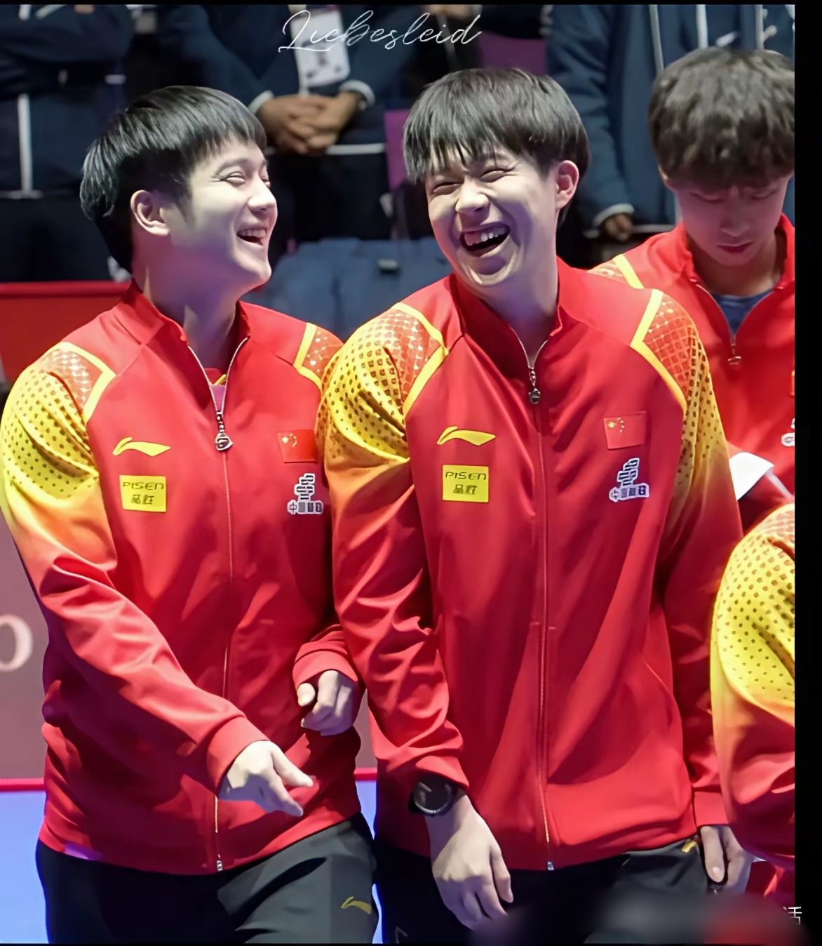 中国乒乓球队险胜日本乒乓球队，波尔统治全场