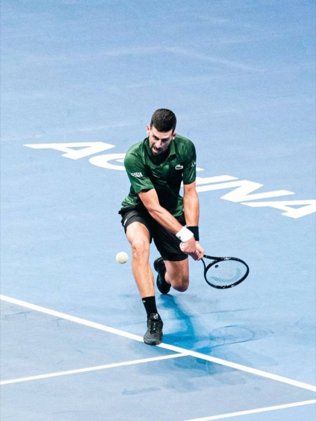 ATP总决赛完胜年终总决赛，德约科维奇点燃赛场