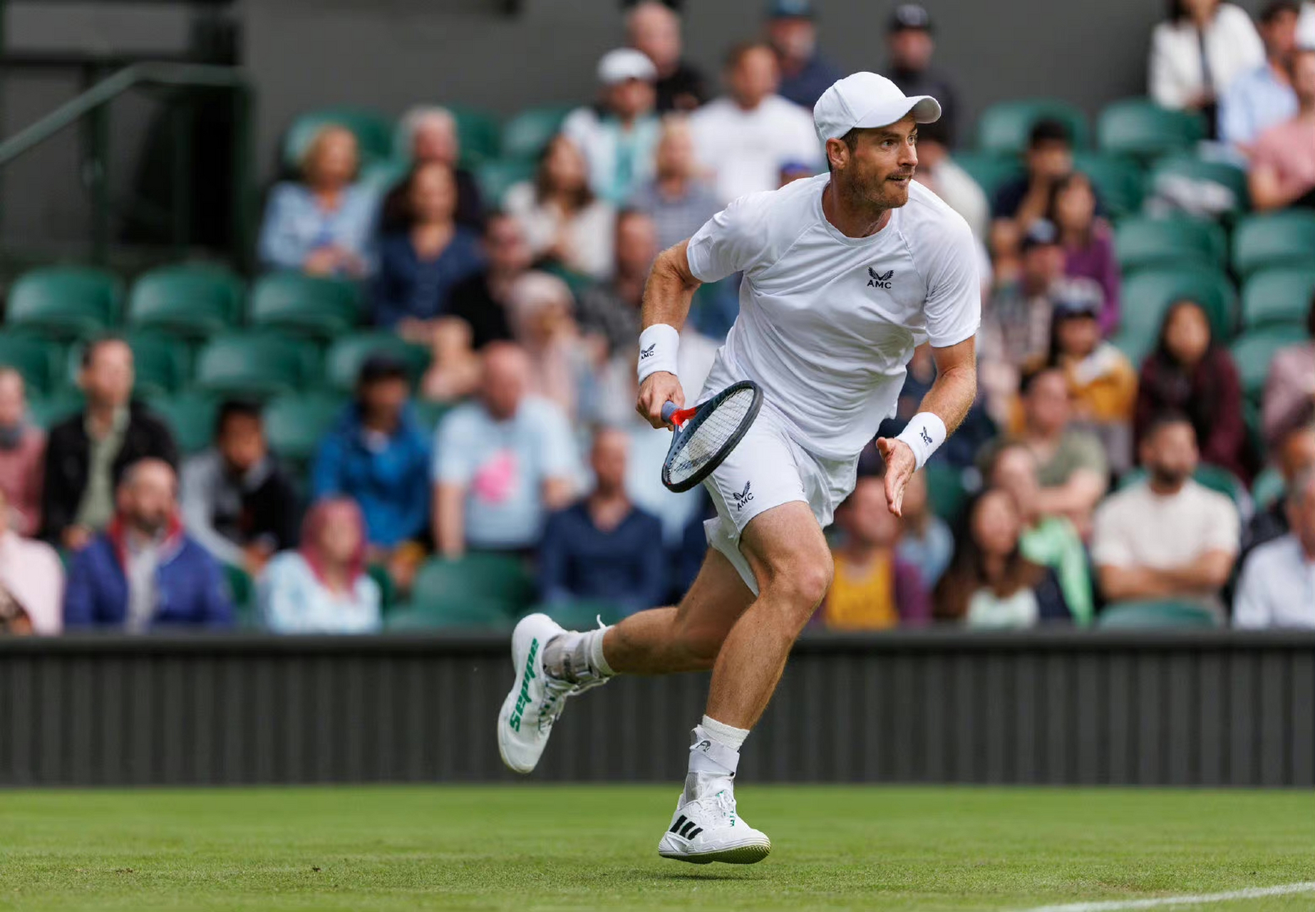 澳网横扫温网，穆雷刷新纪录