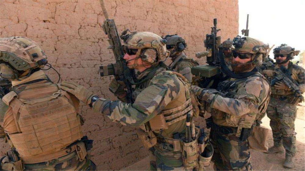 赞布罗塔主场击败对手,实力突出崛起 赞布罗塔主场击败对手,实力突出崛起