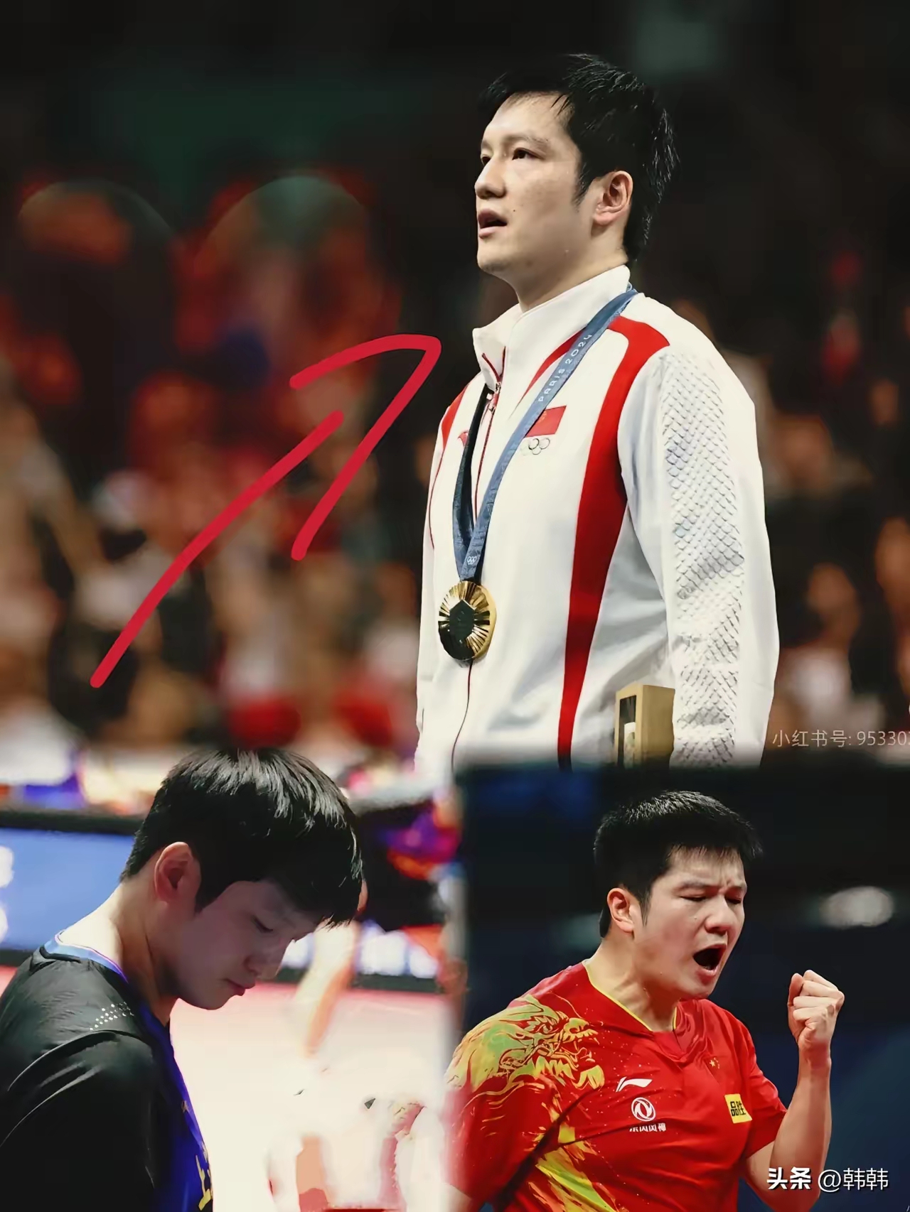 中国队逆转波兰队，樊振东惊艳四座