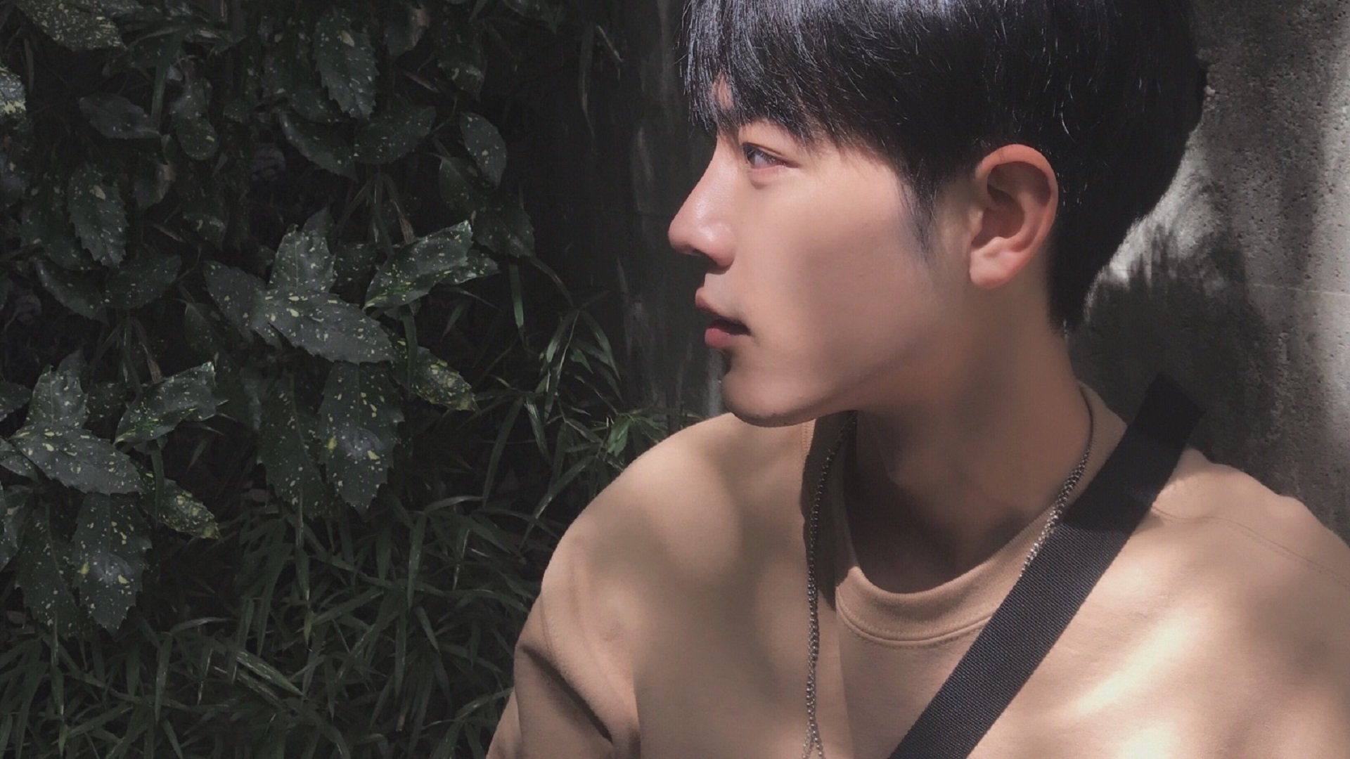 德甲争冠战焦点战，委内瑞拉轻取皇马？一场跨越时空的足球狂想